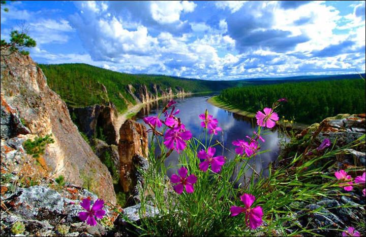 Отоһут суруллубатах сокуоннара: